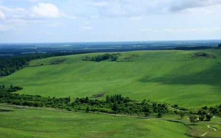 Spring Fields - gree, trees, field, grass, spring