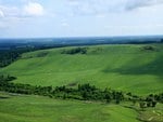 Spring Fields