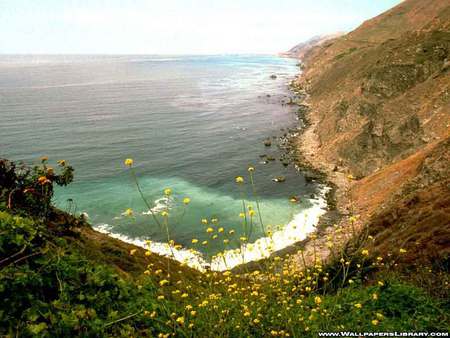 Secret Bay - ocean, beach, coastline, mountains, bay, wildflowers