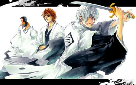 Gin, Aizen, & Tosen - gin, anime, bleach, aizen, tosen