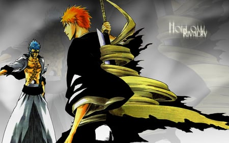 Hollow Rivalry - bleach, vizard, espada, grimmjow, anime, soul reaper, ichigo