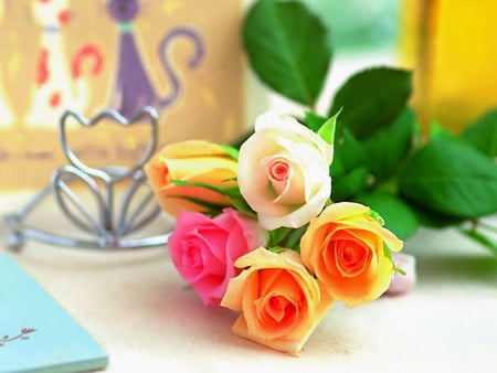 roses - colorful, desk, bud, roses