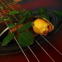 Rose on strings