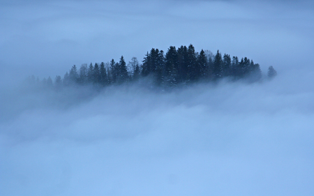 Island in the Clouds - clouds, trees, nature, overcast, mountains