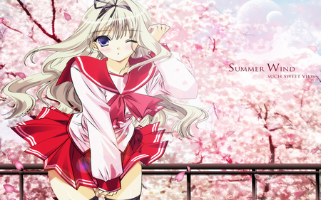 Summer Wind-cool.. - cute, anime, pink, sexy