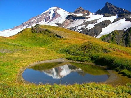 Mount Baker Volcano Reflection - mount baker, volcano, picture, cool, reflection