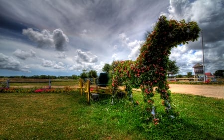 horsie grass - green, sky, horse, grass