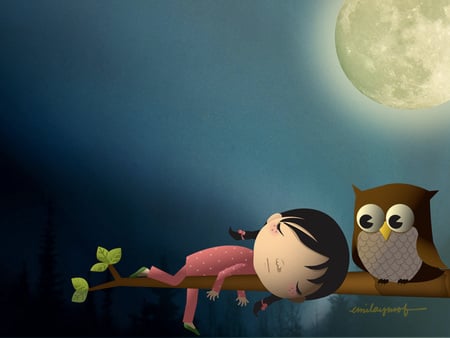 Night Time - owl, moon, sleep, night, full moon