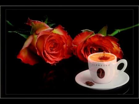 espresso - coffee, roses, red, flowers, espresso, still life, red roses, cup