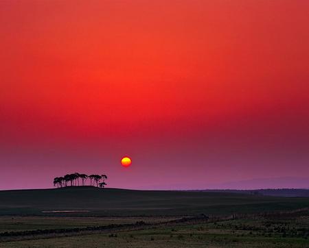 Sunset - sky, tree, nature, sunset