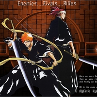 bleach pic6