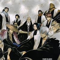 bleach captians