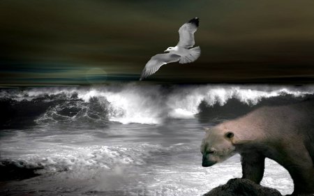 THE GULL AND THE BEAR - moon, sky, bear, sea, waves, gull