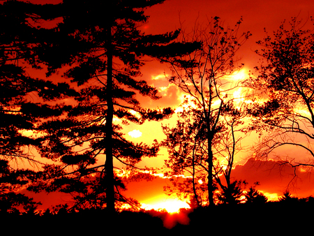 Sunset in Massachusetts - orange, dark, sunset, night