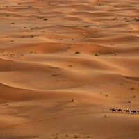 desert dual screen