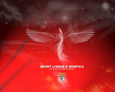 BENFICA wallpaper - portugal, aguia, benfica, campeoes, clube