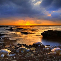 Hawaiian Turtle Sunset