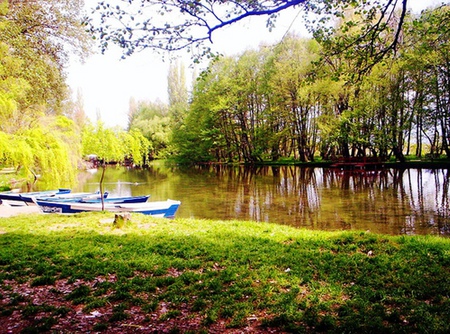 Drilon - nature, lake, forest, photography, boat