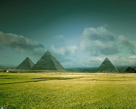 Pyramids - nature, acient, grass, pyramids