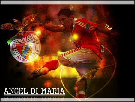 Angel Di Maria - campeoes, aguia, benfica, vermelho, estadio da luz, dimaria