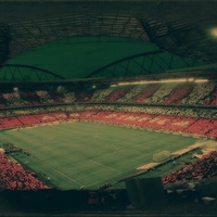 Estadio da Luz