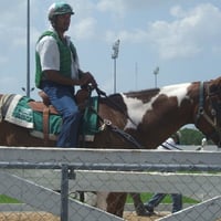 Jockey with Quarter Horse