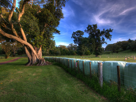 great place for a picnic - place, gorgeous, picnic, beautiful