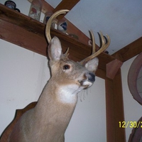 my dads deer