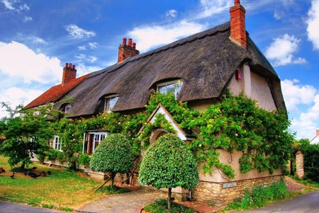 Nature's home - trees, vine covered, green, house, thatch roof