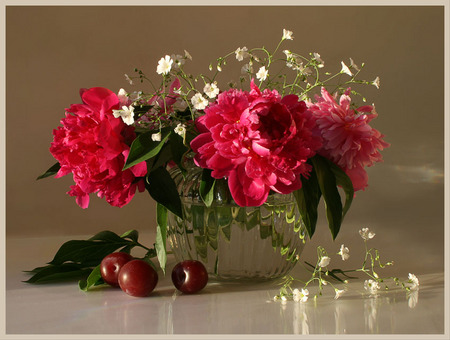 Cherry petals - vase, cherries, beautiful, simple, still life, flowers, red, babys breath, fruit