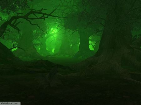 green light forest - massive, trees, green, woods