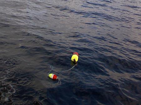 Crab pot buoy # 9 - oceans, fishing, seas, crabbing