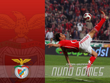 Nuno Gomes - portugal, gomes, aguias, slb, benfica, nuno