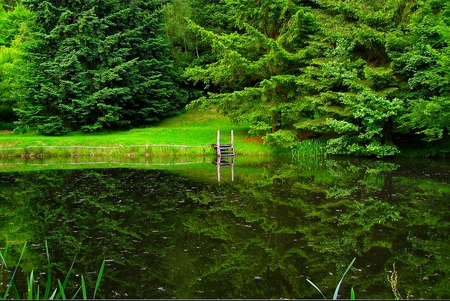 SILENT LAKE - lake, trees, reflection, dock, green, field, pond, grass