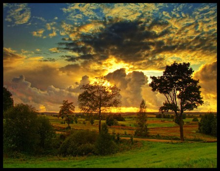 Golden storm - dark clouds, gold sky, trees, storm forming, sunset, grass, country