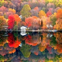 Colors of Autumn