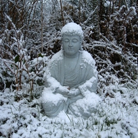 Buddha In The Snow