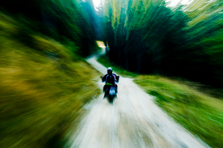 Born to be Wild - motorcycle, grass, trees, wild