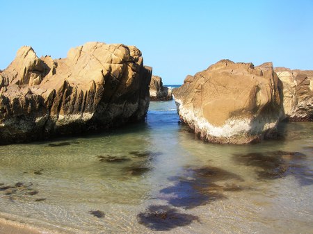 Beach Harmony - formation, seaweed, rocks, water, beach, peaceful