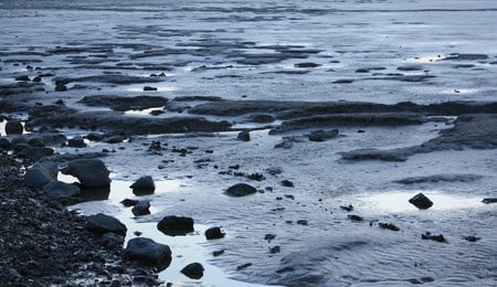 Shore's Edge - edge, shores, water, nature