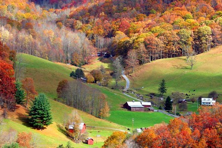 Colors of Autumn - colors, picture, beautiful, autumn