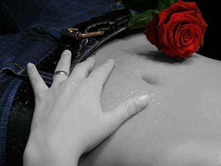 A  Rose - rose, hand, belly, pants