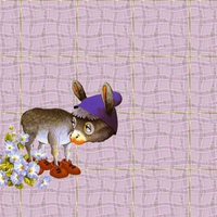 Cute donkey