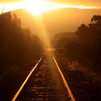 Abandoned Trainline