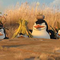 Penguins of Madagascar