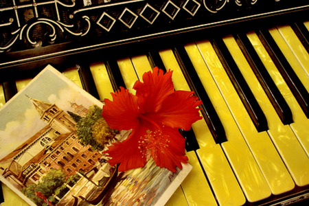 Simple Beauty - red hibiscus, painting, piano, postcard, flower