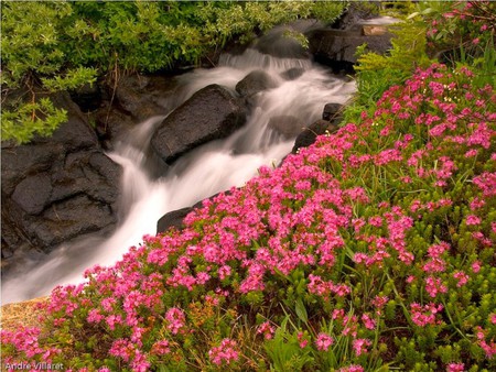 Spring-Flow - spring, picture, flow, beautiful