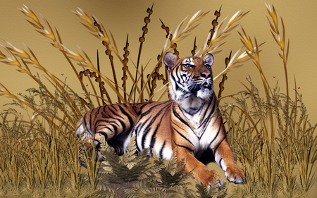 Golden Tiger - grass, golden, tiger, digital