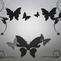 Silver Butterflies