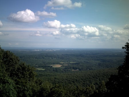 skinner piont - ant, love, sky, view